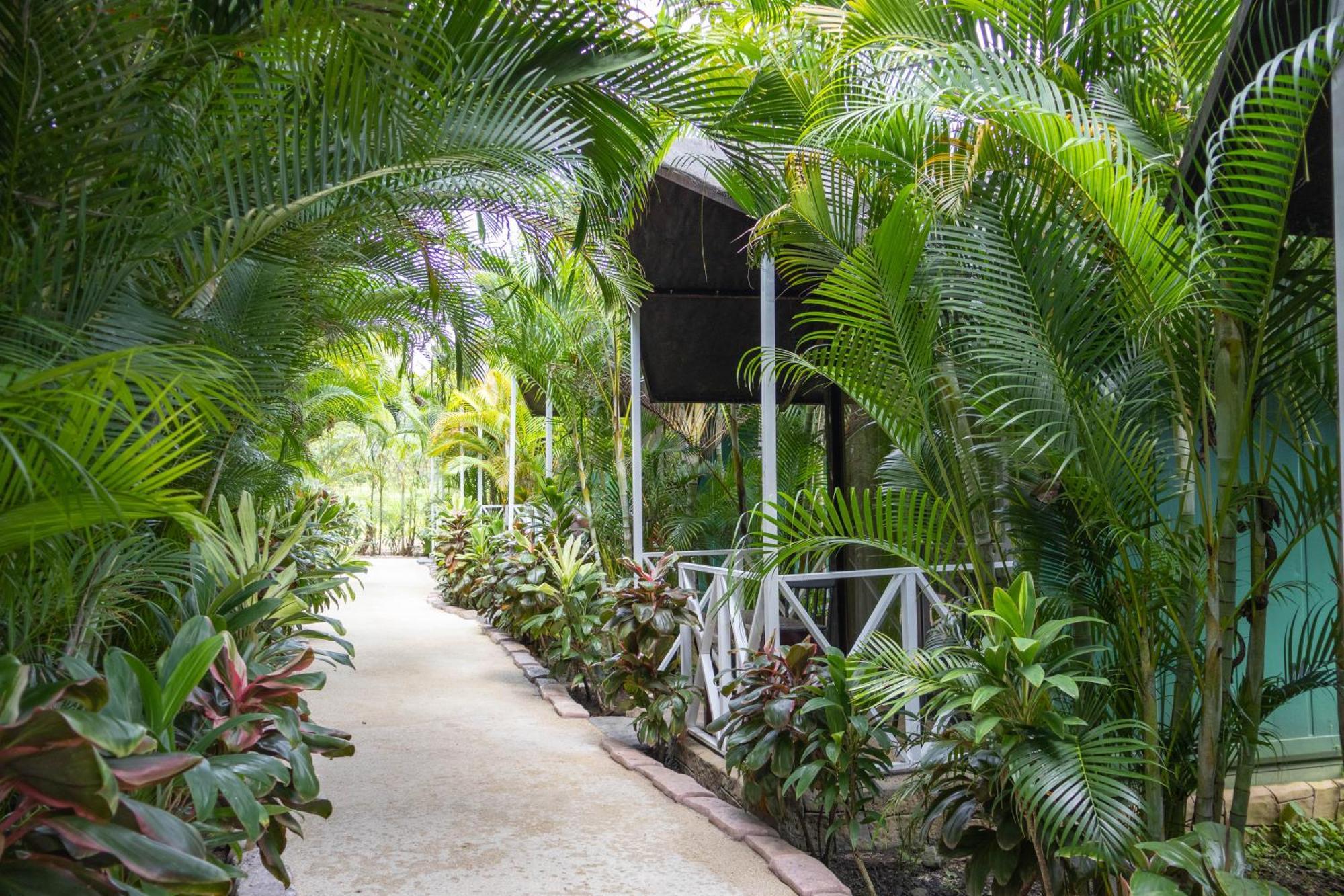 Hotel Relax Termalitas - Thermal Water La Fortuna Exterior photo